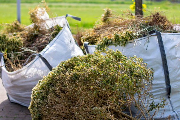 Best Junk Removal Near Me  in Dumbarton, VA