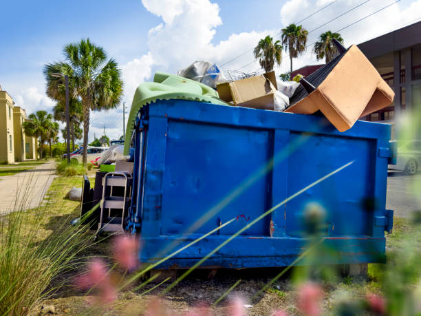 Yard Cleanup Services in Dumbarton, VA